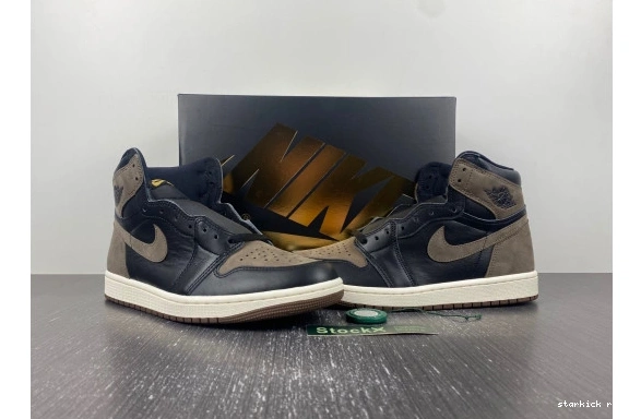 DZ5485-020  Palomino  DZ5485-020 OG 1  Retro High Jordan 0823